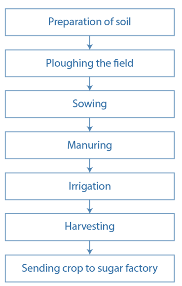 NCERT Solutions for Class 8 Science Chapter 1 Crop Production and Management image 2
