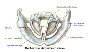 NCERT Solutions for Class 8 Science Chapter 13 Sound image 3