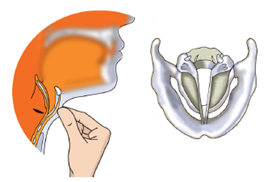 Class 8 Science Chapter 13 Sound Extra Questions image 1