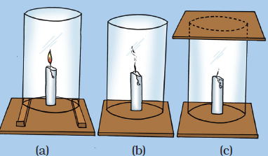 Class 8 Science Chapter 6 Combustion and Flame Extra Questions image 3