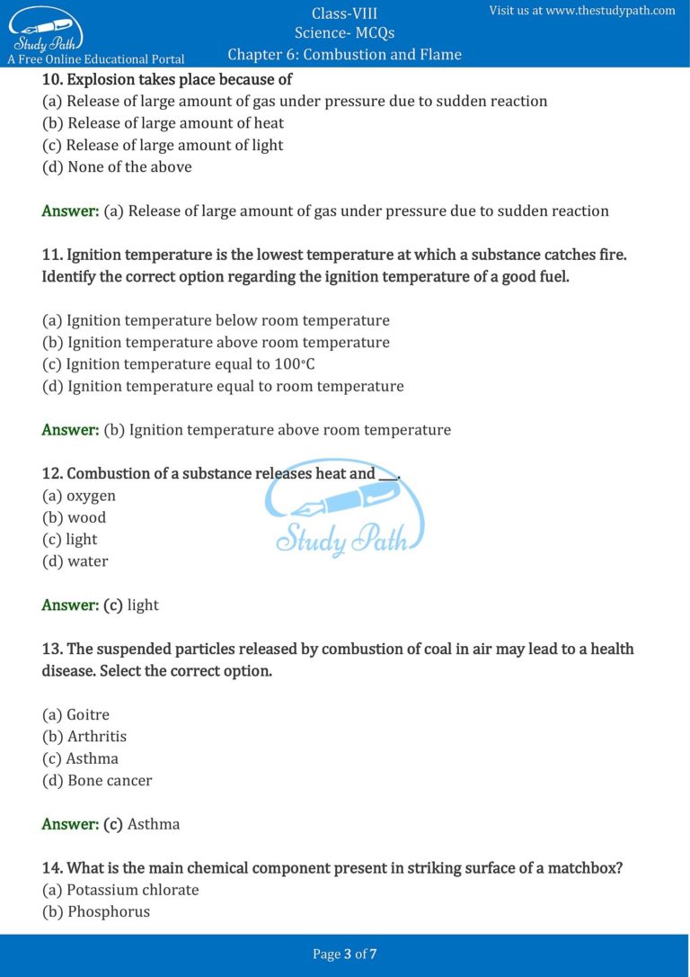 combustion and flame class 8 assignment pdf