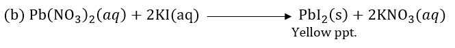 Class 10 Chapter 1 Chemical Reactions And Equations Extra Question 20