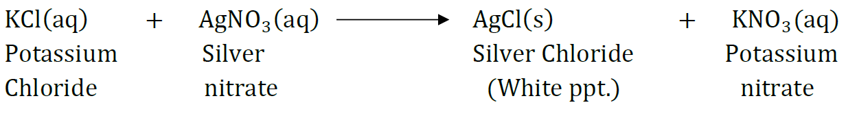 Class 10 Chapter 1 Chemical Reactions And Equations Extra Question 48