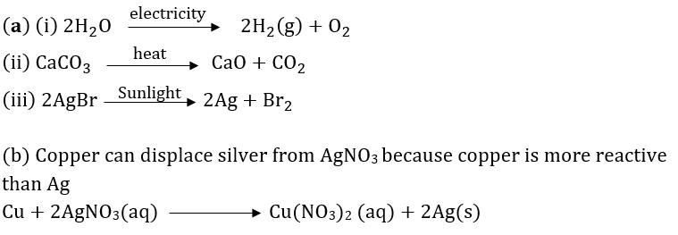 Class 10 Chapter 1 Chemical Reactions And Equations Extra Question 51