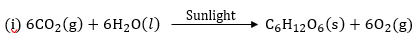 Class 10 Chapter 1 Chemical Reactions And Equations Extra Question 9