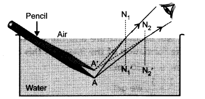 Class 10 Chapter 10 Light Reflection and Refraction Extra Question 29