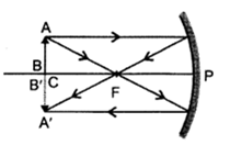 Class 10 Chapter 10 Light Reflection and Refraction Extra Question 42 ii