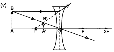 Class 10 Chapter 10 Light Reflection and Refraction Extra Question 52 v