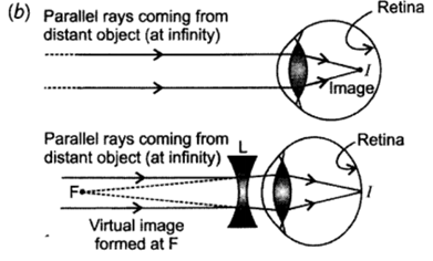 Class 10 Chapter 11 Human Eye and the Colourful World Extra Questions 40