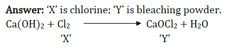 Class 10 Chapter 2 Acids Bases and Salts Extra Question 33