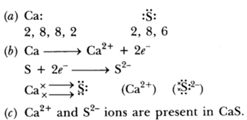 Class 10 Chapter 3 Metals and Non metals Extra Question 24