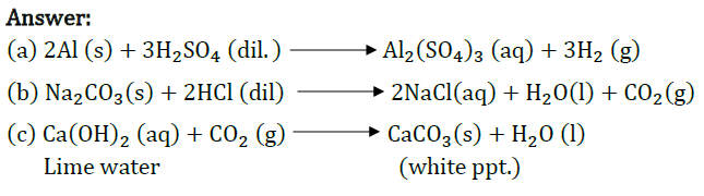 Class 10 Chapter 3 Metals and Non metals Extra Question 28