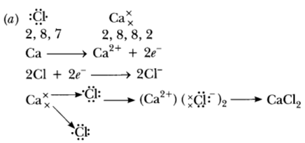 Class 10 Chapter 3 Metals and Non metals Extra Question 37