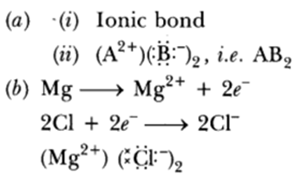 Class 10 Chapter 3 Metals and Non metals Extra Question 41