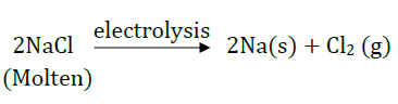 Class 10 Chapter 3 Metals and Non metals Extra Question 48