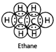 Class 10 Chapter 4 Carbon and its Compounds Extra Question 13