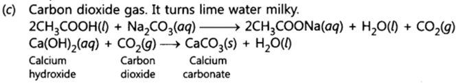 Class 10 Chapter 4 Carbon and its Compounds Extra Question 27 ii