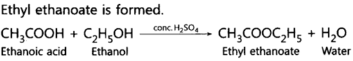 Class 10 Chapter 4 Carbon and its Compounds Extra Question 5