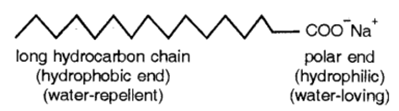 Class 10 Chapter 4 Carbon and its Compounds Extra Question 52 i