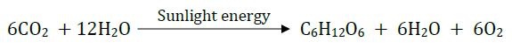 Class 10 Chapter 6 Life Processes Extra Question 16