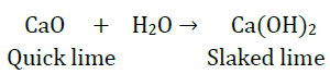 Class 10 Science Chapter 1 Chemical Reactions and Equations Important Question 9