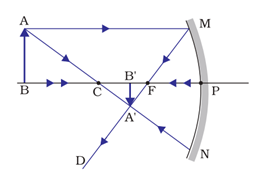 Class 10 Science Chapter 10 Light Reflection and Refraction Important Question 18 i