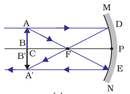 Class 10 Science Chapter 10 Light Reflection and Refraction Important Question 18 ii