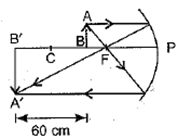 Class 10 Science Chapter 10 Light Reflection and Refraction Important Question 50 iii