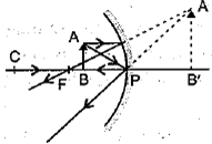 Class 10 Science Chapter 10 Light Reflection and Refraction Important Question 55 i