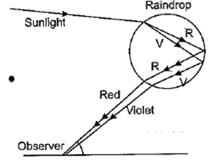 Class 10 Science Chapter 11 Human Eye and the Colourful World Important Question 13