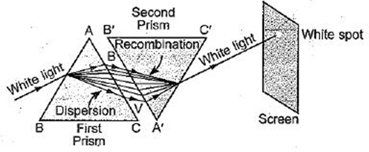 Class 10 Science Chapter 11 Human Eye and the Colourful World Important Question 23