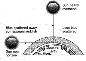 Class 10 Science Chapter 11 Human Eye and the Colourful World Important Question 45