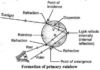 Class 10 Science Chapter 11 Human Eye and the Colourful World Important Question 46