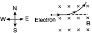 Class 10 Science Chapter 13 Magnetic Effects of Electric Current Important Question 15