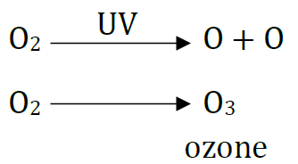 Class 10 Science Chapter 15 Our Environment Extra Questions 22