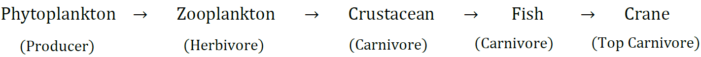 Class 10 Science Chapter 15 Our Environment Extra Questions 32