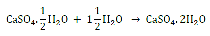 Class 10 Science Chapter 2 Acids Bases and Salts Important Question 14 ii