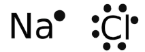 Class 10 Science Chapter 3 Metals and Non metals Important Question 11 i