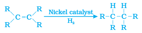 Class 10 Science Chapter 4 Carbon and its Compounds Important Question 13