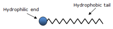 Class 10 Science Chapter 4 Carbon and its Compounds Important Question 16 i