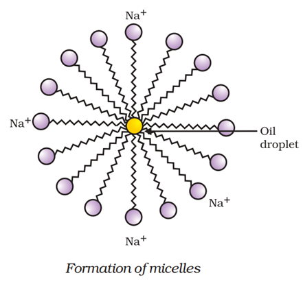 Class 10 Science Chapter 4 Carbon and its Compounds Important Question 16 ii