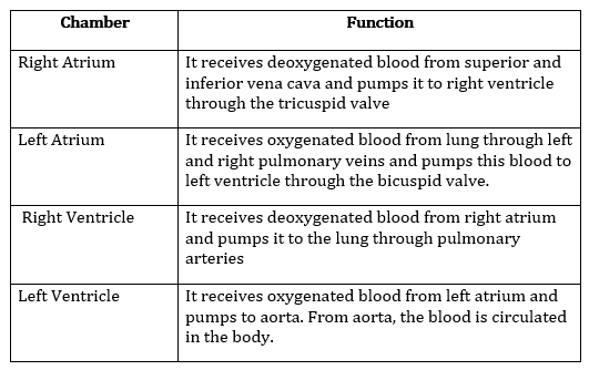 Class 10 Science Chapter 6 Life Processes Important Question 12