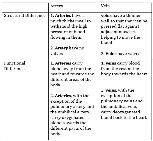 Class 10 Science Chapter 6 Life Processes Important Question 13