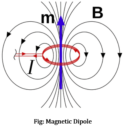 Class 6 Science Chapter 13 Worksheet Fun with Magnets 1