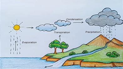 Class 6 Science Chapter 14 Water Extra Questions 11