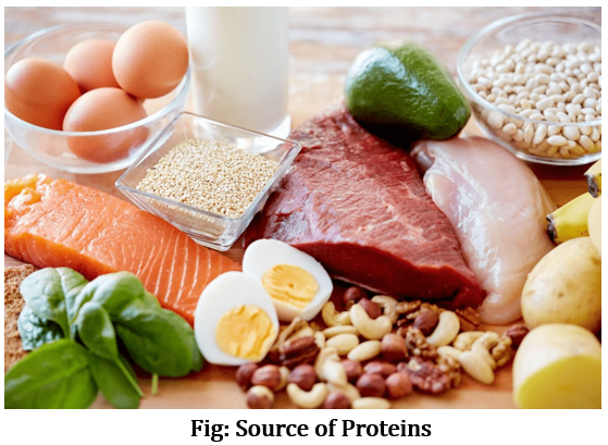 Class 6 Science Chapter 2 Worksheet Components of Food 2