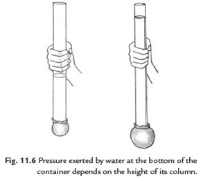 Class 8 Science Chapter 11 Force and Pressure Important Question 5