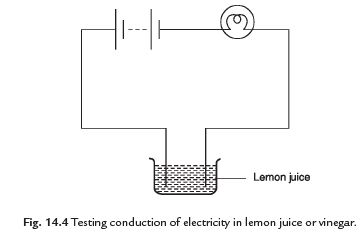 Class 8 Science Chapter 14 Chemical Effects of Electric current Important Question 1