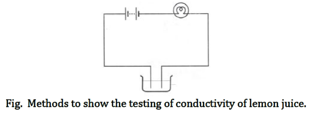 Class 8 Science Chapter 14 Chemical Effects of Electric current Important Question 4