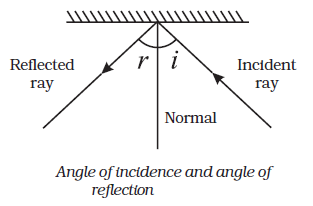 Class 8 Science Chapter 16 Light Important Question 1